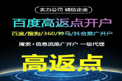 竞价广告的胜利者：某公司如何借助竞价推广公司实现业绩突破